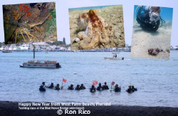 Happy New year from West Palm Beach Florida!
Home of the... by Ron Rico 